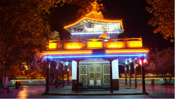 �޽�ҹ���������֪�������Ӿ�����