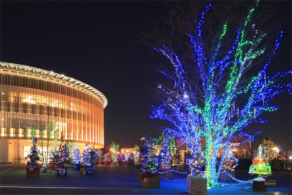 ����ҹ���������֪���һ����������Ҫ