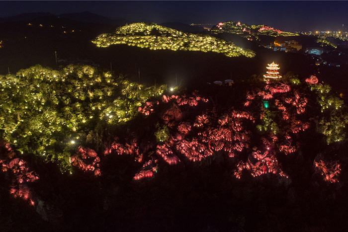 ɽ���������