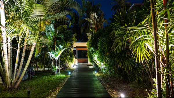 ֲ�ﾰ�������г��������������ַ�