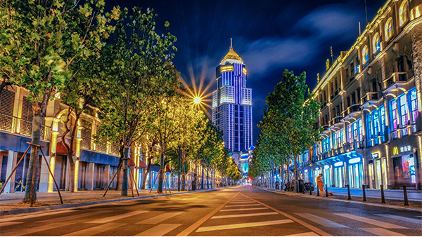 ����ֵ��������������Ż��ִ�֪������Ч����������������