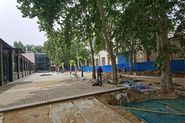 ֣ú������1985֥�����ľ��������ʩ��ǰ