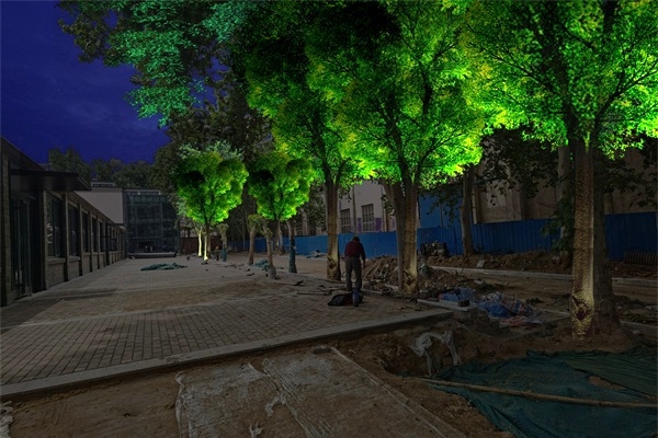 ֣ú������1985֥�����ľ��������ʩ����