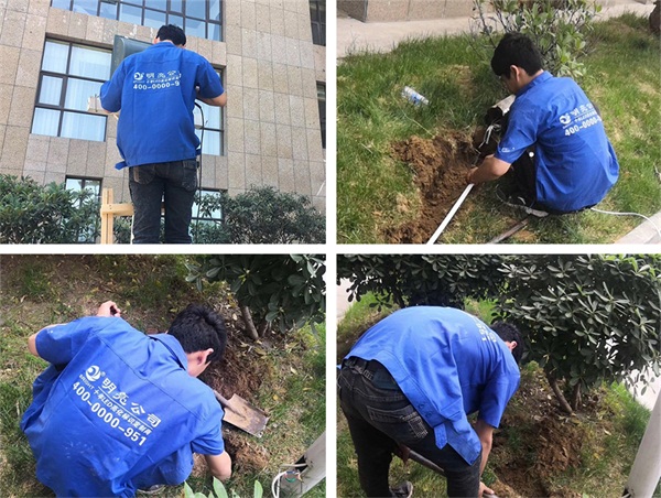 ֣ú������1985֥�����ľ��������ʩ���ֳ�