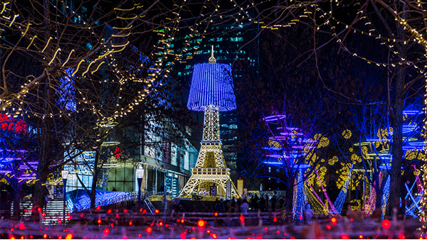 ��԰�ƹ�������Ҫ��ô���Ż����������Ͽ�����������