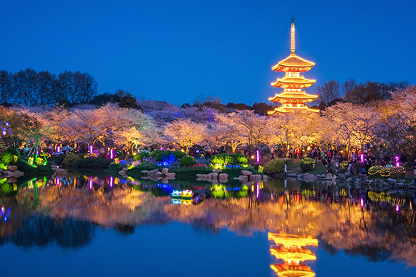 ��԰�ƹ�����