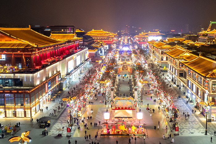 ���Ʋ�ҹ����������