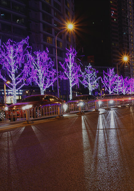 ��8ͷ�����(����)�ٷ���վ