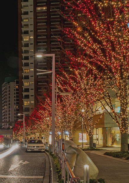 ��8ͷ�����(����)�ٷ���վ