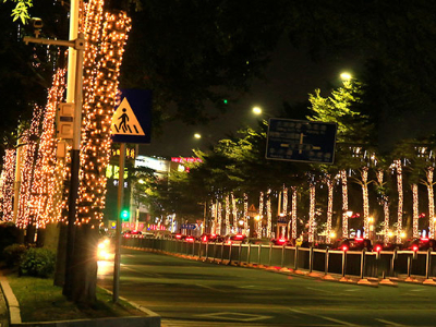 ��ľ�������-��ȷ��������ҹ������