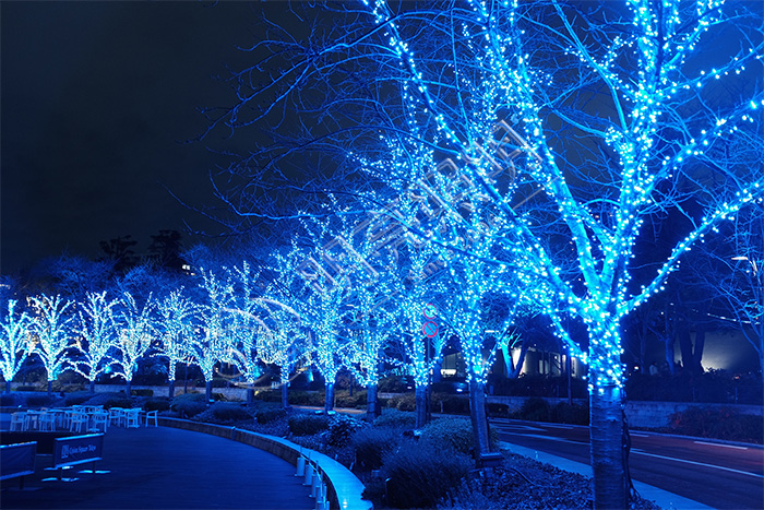 �����ʵ�����