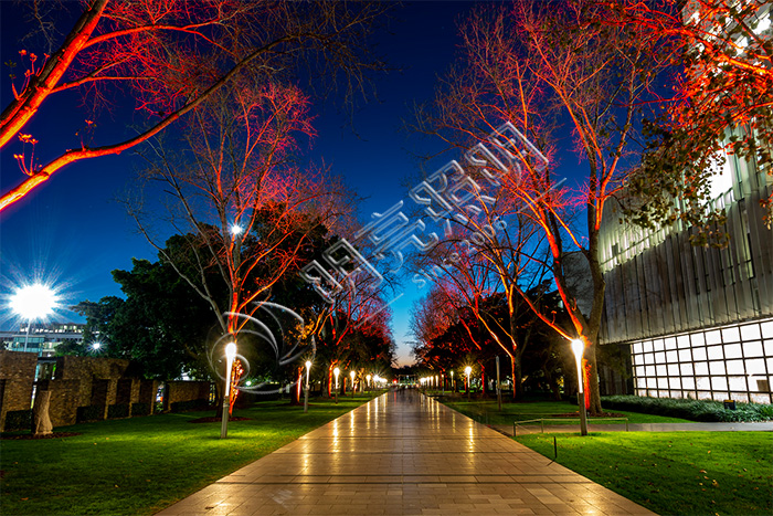 ��ľ��������