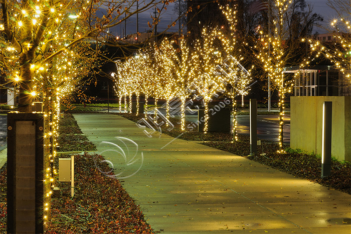 ��ľ����˸��