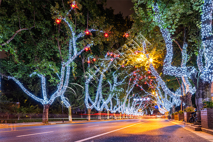 �ֵ���ľ����