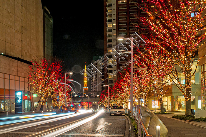 ��ľ����˸��