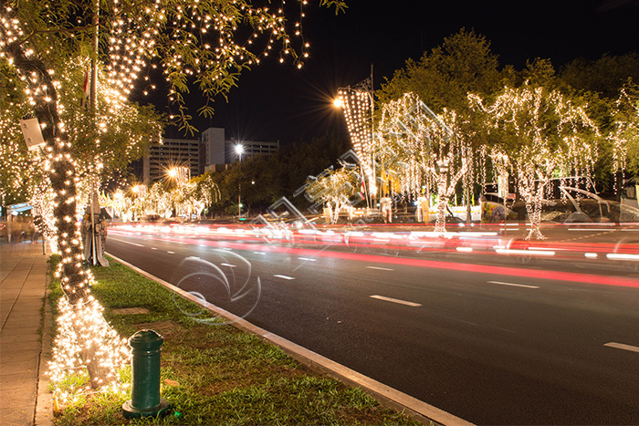 ��ľ��������