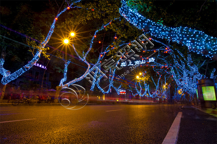 ������ľ����