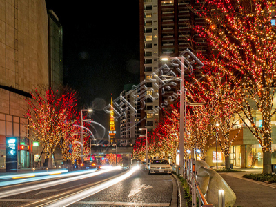 �е�������-Ӫ��׳���ľ���