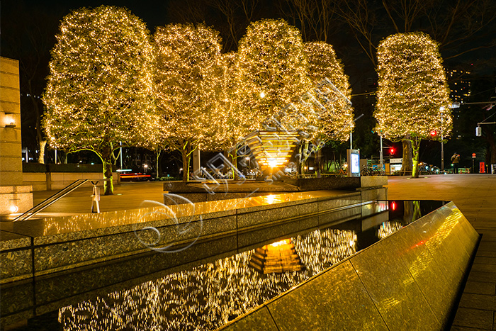 ��ľ����˸��