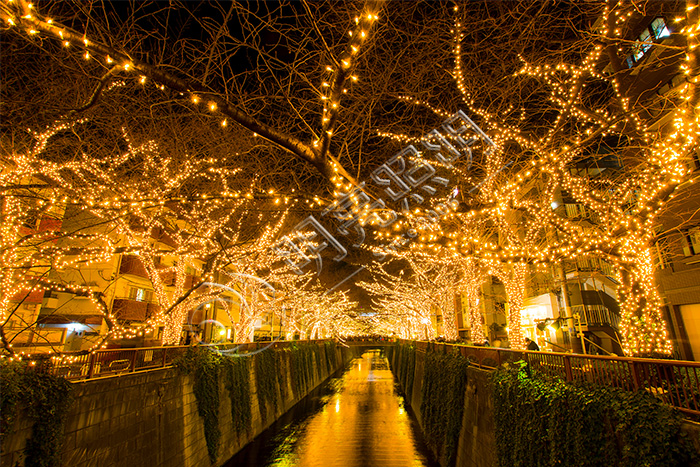 ������ľ����