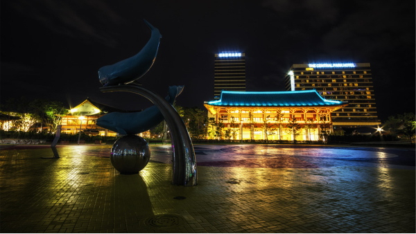 ���۵ƹ���������������Ƹ�������������