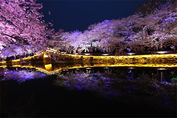 ҹ�����������Ѳ����Ǽ��ӵ�����