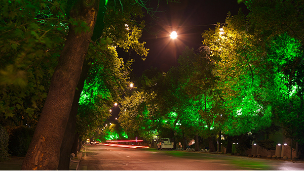 ԰�ֵƹ����Ҫ͹�Գ��Լ���������ź���ɫ