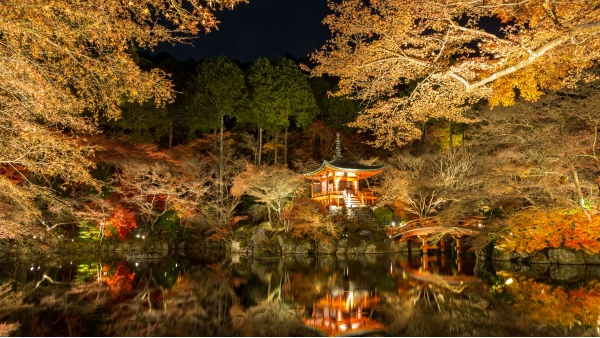 ԰�־��۵���˸���Ĵ����̼��취