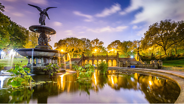 ��԰����������������Ż������ױ����������������������