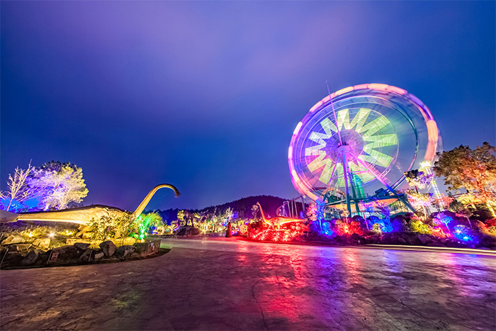 ���ֳ���������