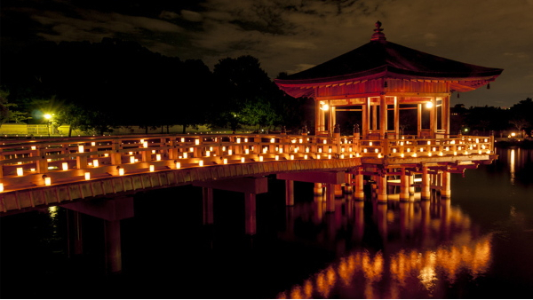 ���ξ�����������������������ο͵�Ŀ��