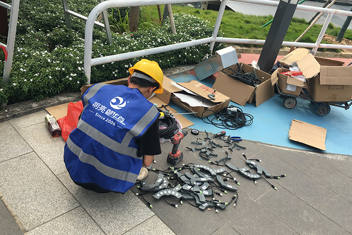 ��8ͷ����������������������Ŀʩ���ֳ�