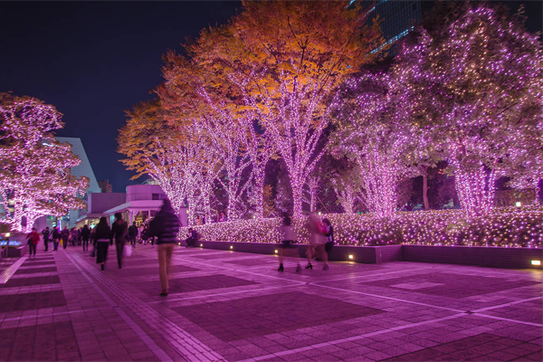 ԰�ֵ���˸����˾