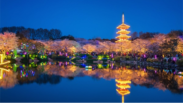 ԰�־��۵���˸��Ӧ�����������������