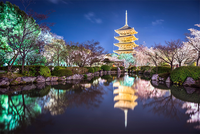 ԰���������