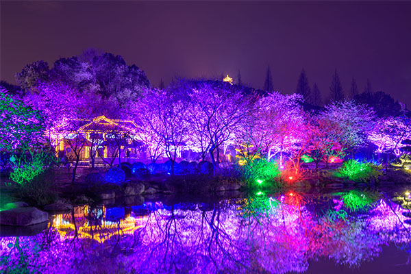 ԰����������