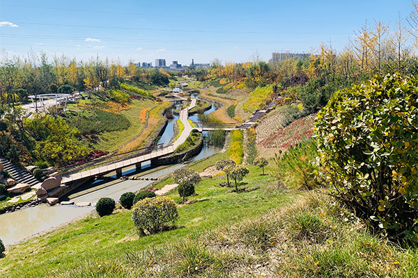 Ȫ�Ӻ�����ǰЧ��