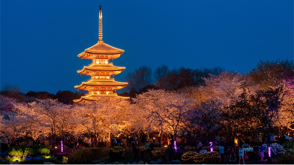 ԰�������������Ҫע����Щ����������